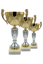 CTS 075 | SET de 3 Cupe Sportive - TrophyShop